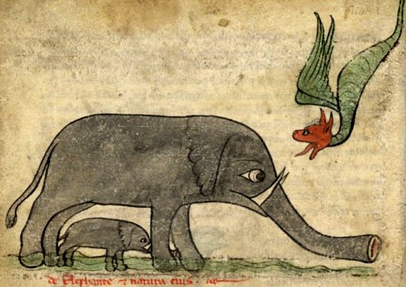 Легенда о драконе и слоне и возникновении драконьего дерева